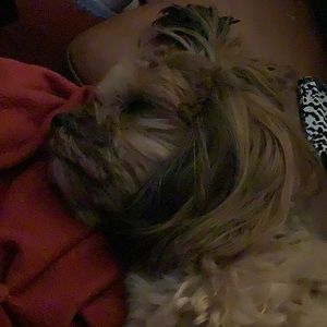 Meet your Posher, Grace